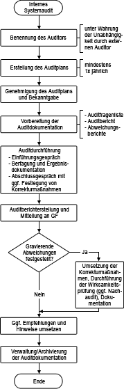 Ablaufplan interes Systemaudit