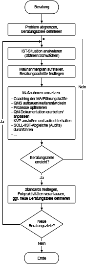 Ablaufplan interes Systemaudit